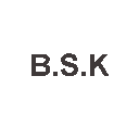 B S K INTERNATIONAL