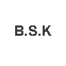 B S K INTERNATIONAL