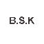 B S K INTERNATIONAL