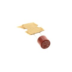 481225338001 - FUSIBLE T 250 MA