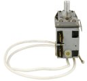 17431000001343 - THERMOSTAT