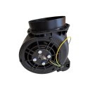 30506040F49 - MOTEUR