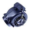 30506065F47 - MOTEUR