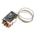 147475 - THERMOSTAT 077B6667