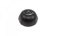 5532109600 - BOUTON COMMANDE VAPEUR