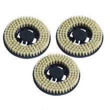 5022394200 - BROSSE DURE PAR 3 CIREUSE CHAMBORD