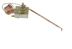 C00125843 - Thermostat de four inverseur