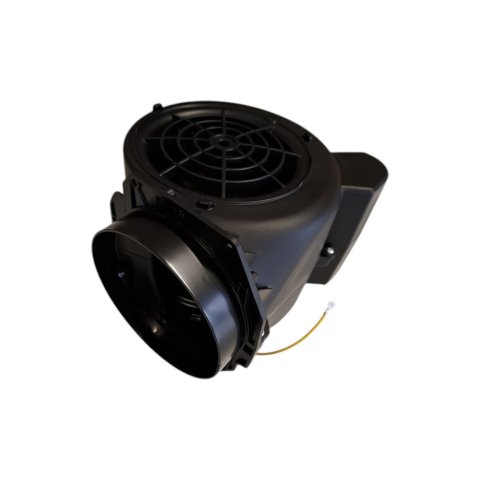 30506040F49 - MOTEUR