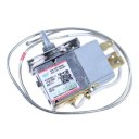 17431000000191 - THERMOSTAT DE TEMPERATURE WDFE30Z-L1