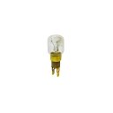 481913488178 - AMPOULE T25 240 VOLTS 15 WATT