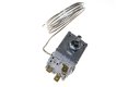 481228238252 - THERMOSTAT A1320U1503