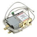 HK1119312 - THERMOSTAT